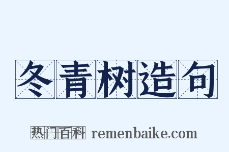 冬青树造句是什么意思的图片